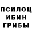 Галлюциногенные грибы GOLDEN TEACHER Fyrh8