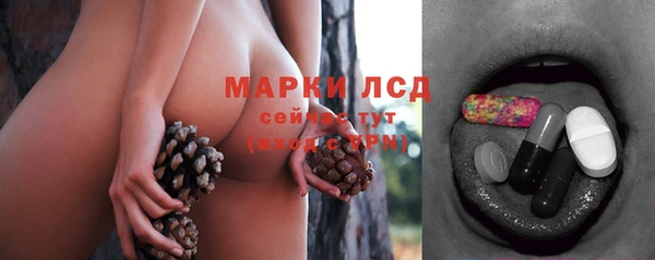 скорость Алзамай