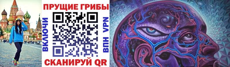 что такое   Сясьстрой  Галлюциногенные грибы мухоморы 